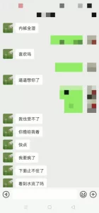 寂寞自摸。附聊天记录