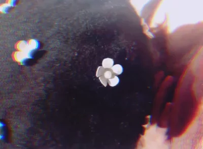 前妻给我解渴～